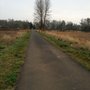 Photo of B St Trail
