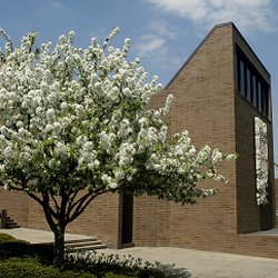 The Temple - Congregation Adath Israel Brith Sholom