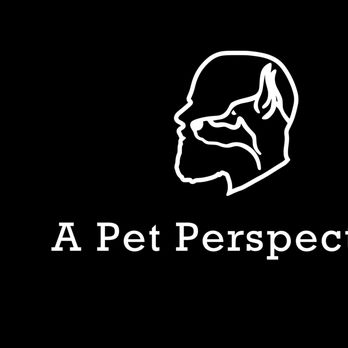 A Pet Perspective - Pet Training Near Me A Pet Perspective - Pet Training Near Me