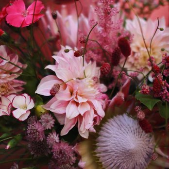 Les Fleurs du Jardin Célestin - Le Jardin Célestin - Automne 2018 - Florists Near Me - Lyon, 69