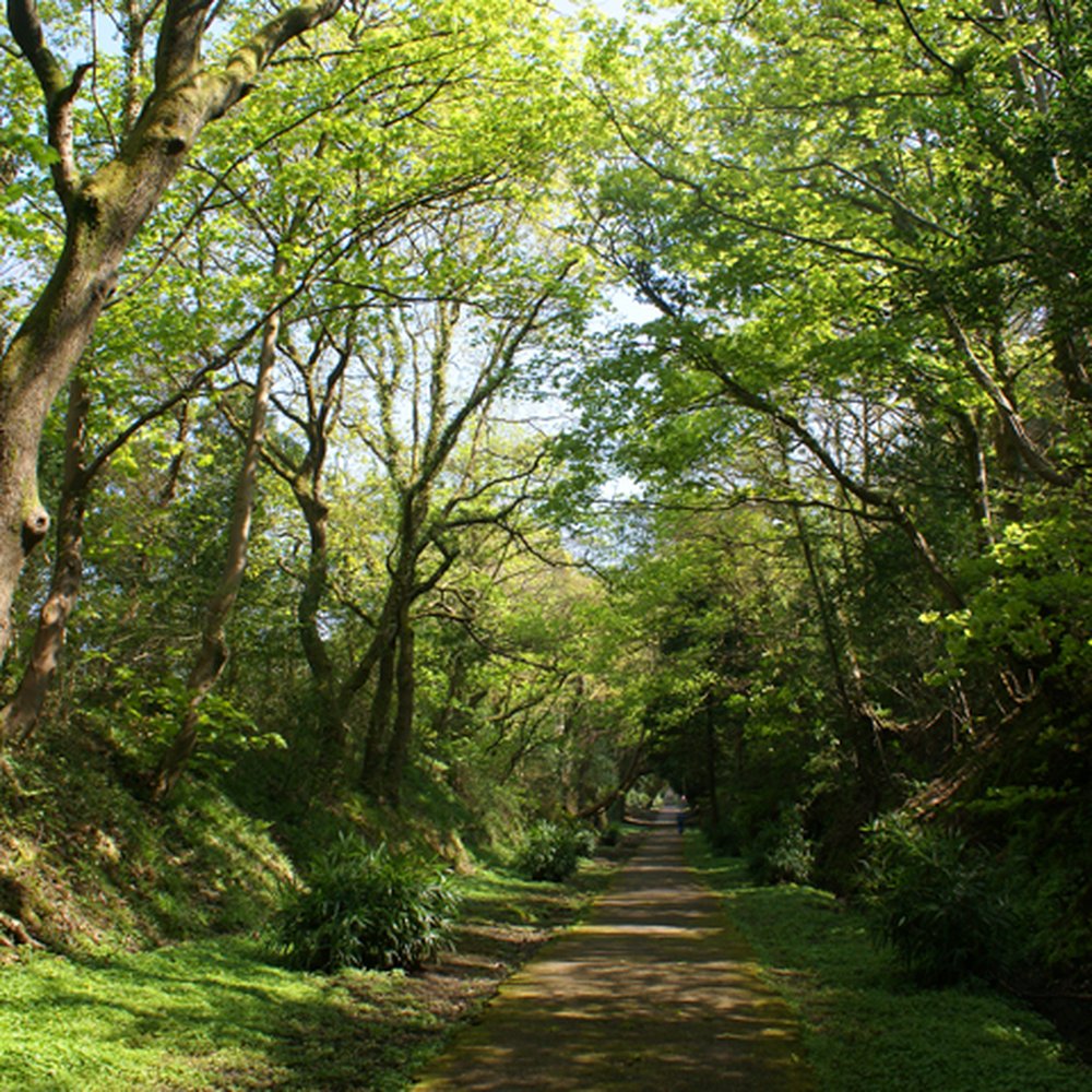 Jersey Park - Jersey Park, Briton Ferry, Neath - Parks Near Me - Neath, NTL