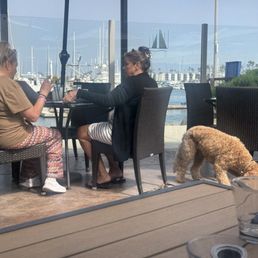 We had to move to a different table because we are not dog people. We weren't asked if we'd be okay eating our food next to a dog.