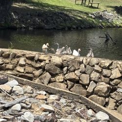 Mill Pond RV Park