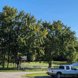 AOK Campground & RV Park - The dog park has the chain link fence around it. The two huge trees give it lots of shade and there are some agility type equipment!