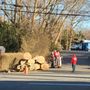 Photo of Bernes Tree Service