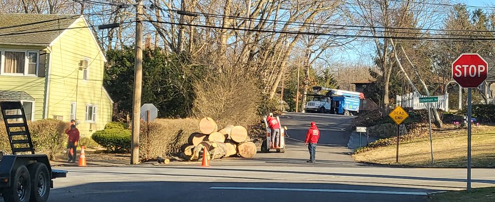 BERNES TREE SERVICE - Updated June 2026 - Farmingdale, New York - Tree ...