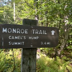 Camel's Hump State Park - More signs