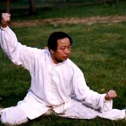 Hebei Chinese Martial Arts Institute