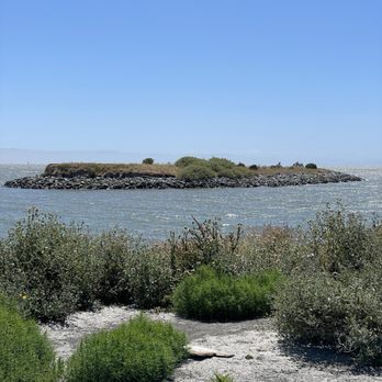 San Leandro Marina - Island view - Parks Near Me - San Leandro, California San Leandro Marina - Island view - Parks Near Me - San Leandro, California