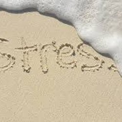 Creative Wellness - Stress Management