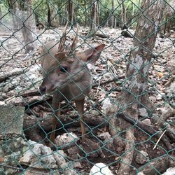 Akumal Adventours - Wildlife sanctuary