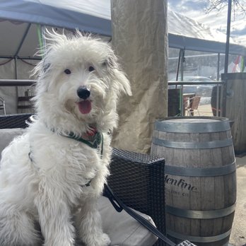 Valentine Distilling - Distilleries Near Me - Ferndale, Michigan
