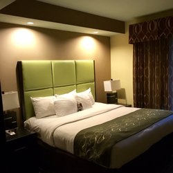 Comfort Suites New Bern Near Cherry Point - Comfy bedding