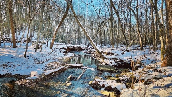 Wolf Trap National Park for the Performing Arts by null