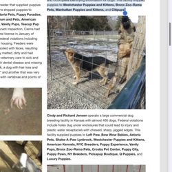 Friendly Pets - ASPCA article