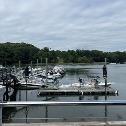 Marina Marina