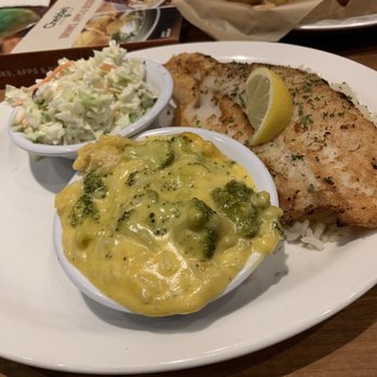 Cheddar's Scratch Kitchen - Lemon Pepper White Fish, Broccoli Cheese Casserole and Freshly Made Coleslaw - Comfort Food Near Me - Ocala, Florida Cheddar's Scratch Kitchen - Lemon Pepper White Fish, Broccoli Cheese Casserole and Freshly Made Coleslaw - Comfort Food Near Me - Ocala, Florida