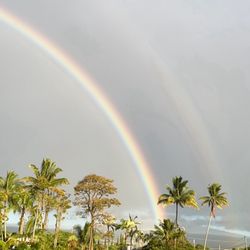 Island of Hawaii - Hilo