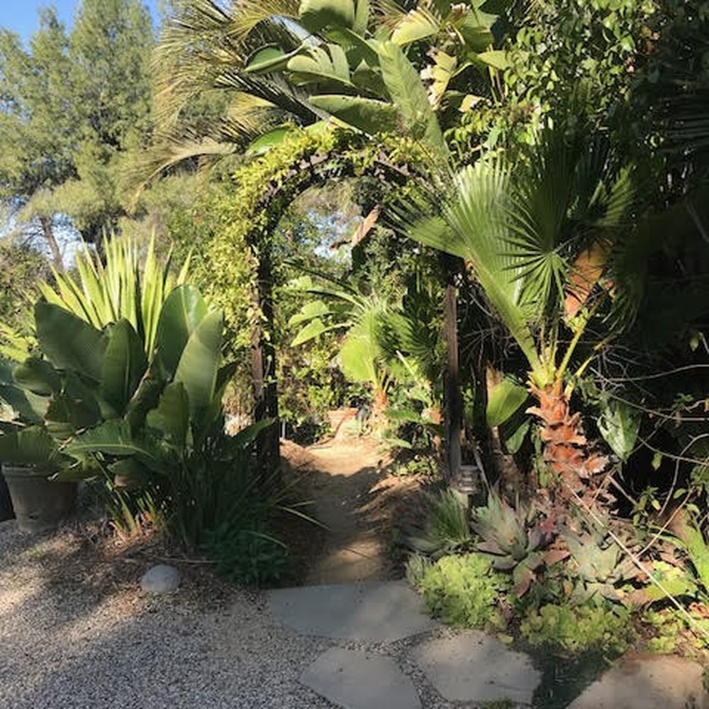 The Mountain Mermaid - Some of the plantings that add to the magical feel of the Mountain Mermaid - Venues & Event Spaces Near Me - Topanga, California