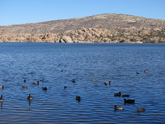 Watson Lake Park by null
