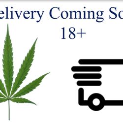 Canopy Club - Our Delivery Beta will be coming soon! Stay Posted