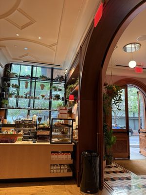 Funny Library Coffee Shop New Orleans by null