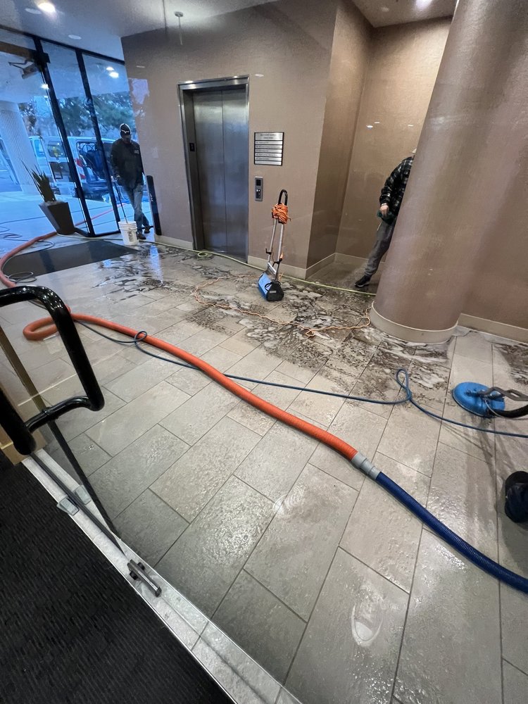 ACE CARPET CLEANING & WINDOW WASHING Updated April 2024 70 Photos