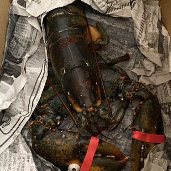 Ocean Group - Las Vegas - Live lobster - Seafood Markets Near Me - Las Vegas, Nevada