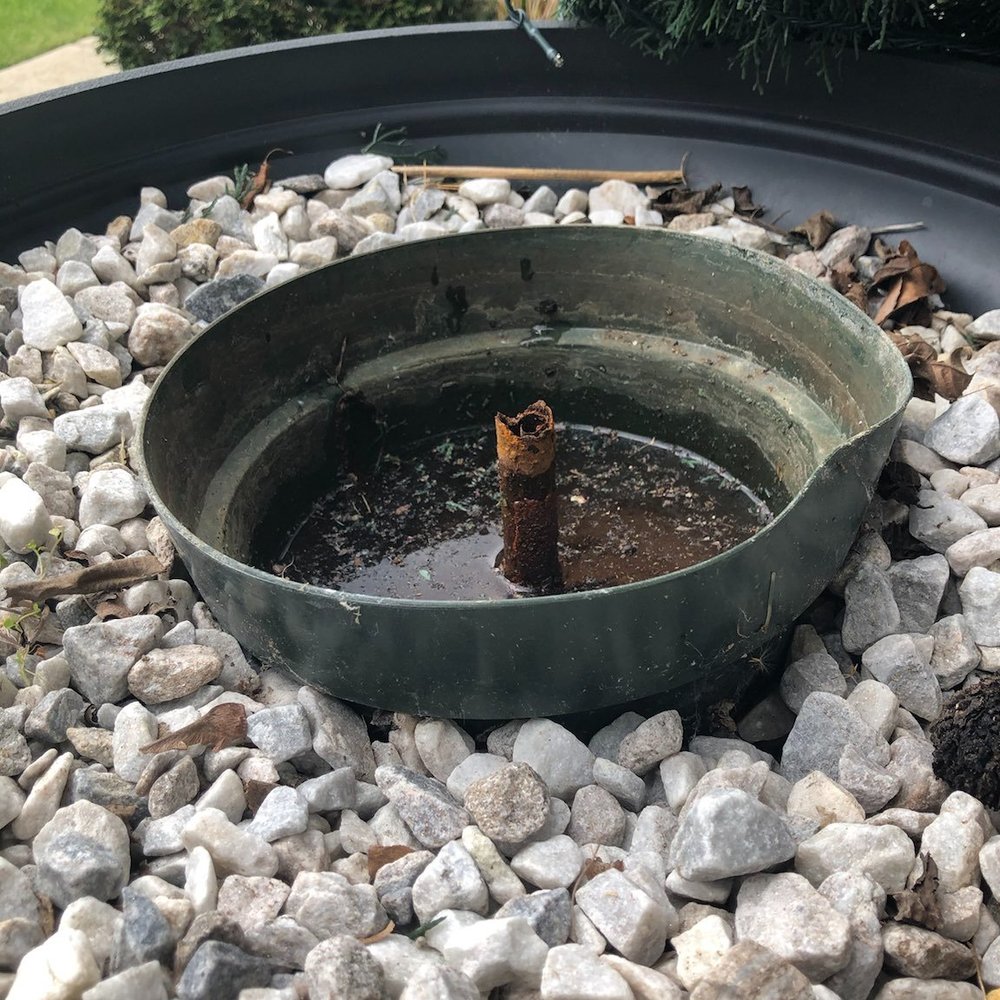 Nearly Natural - The pots on the outdoor trees have no drainage so water you cant see collects in the pot and rusts. At best this is really poor design. - Floral Designers Near Me - Hialeah, Florida Nearly Natural - The pots on the outdoor trees have no drainage so water you cant see collects in the pot and rusts. At best this is really poor design. - Floral Designers Near Me - Hialeah, Florida