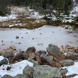 Cavell Meadows Trail