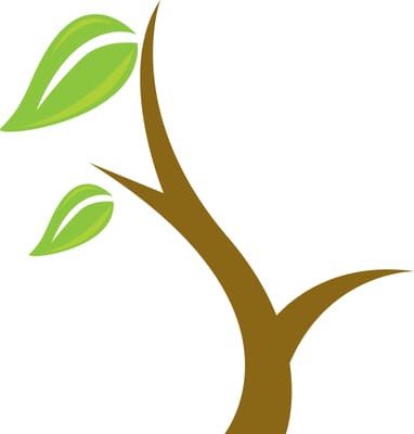 Elements Natural Medicine - Image 5