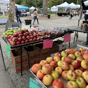 Maple Valley Farmers' Market - Pretty - Farmers Market Near Me - Maple Valley, Washington Maple Valley Farmers' Market - Pretty - Farmers Market Near Me - Maple Valley, Washington