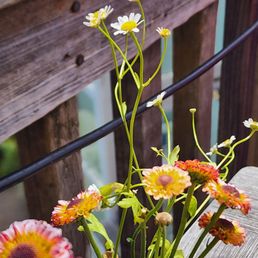 Sweet fresh flowers on the tables. Sweet fresh flowers on the tables.