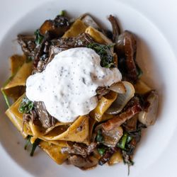 Bistro North - Lamb Bourguignon Pappardelle