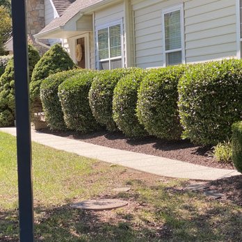 Herndon Tree - Tree Services Near Me - Herndon, Virginia Herndon Tree - Tree Services Near Me - Herndon, Virginia