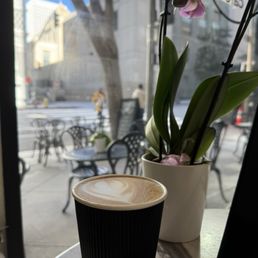 Coffee Latte Coffee Latte