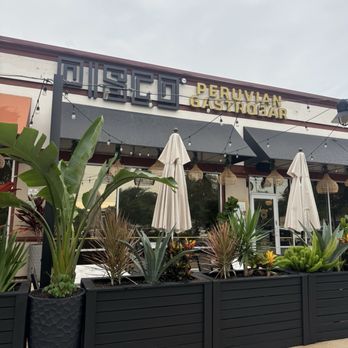 Pisco Peruvian Gastrobar - Peruvian Near Me - Lake Mary, Florida Pisco Peruvian Gastrobar - Peruvian Near Me - Lake Mary, Florida