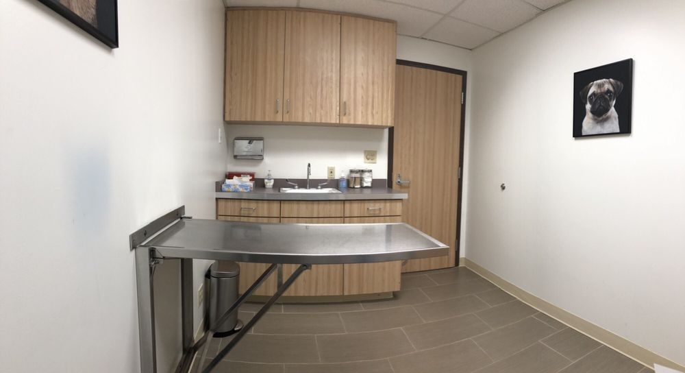 AFFORDABLE ANIMAL HOSPITAL WHITTIER 100 Photos & 135 Reviews 7247