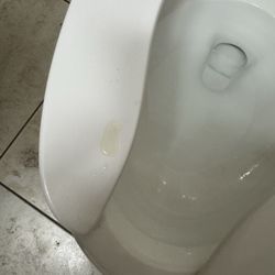 Hitching Post - Dirt toilet