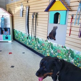 Moe just got his nails done!! He is very happy!! Moe just got his nails done!! He is very happy!!