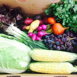 Talley Farms Fresh Harvest - Our Original Fresh Harvest box on Nov. 12, 2015