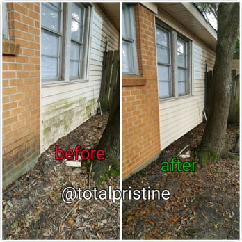 Total Pristine - Your home back to pristine condition - Junk Removal & Hauling Near Me Total Pristine - Your home back to pristine condition - Junk Removal & Hauling Near Me