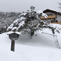 Berggasthof Wildensee
