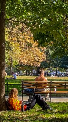 McCarren Park by null