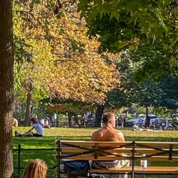 McCarren Park - Screen time in the park