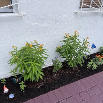Flamingo Road Nursery - Nurseries & Gardening Near Me - Davie, Florida