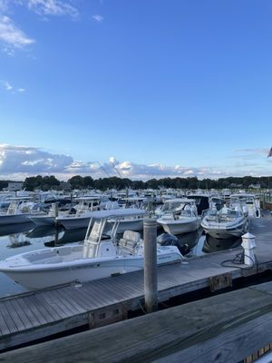 Summer Shanty by null