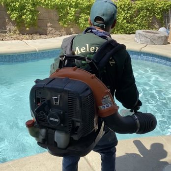 Melendez Tree Service - Clean up - Tree Services Near Me - Corona, California Melendez Tree Service - Clean up - Tree Services Near Me - Corona, California