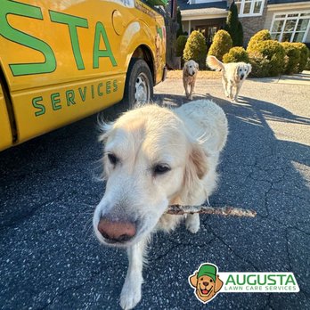 Augusta Lawn Care - Lawn Services Near Me Augusta Lawn Care - Lawn Services Near Me