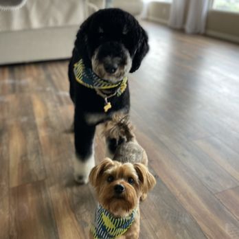 PetSmart - Pet Stores Near Me - Chula Vista, California